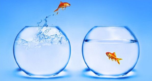 fishbowl测试为什么打不开 fishbowl测试为什么打不开