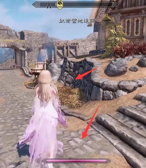 上古卷轴5魅魔粉条是什么