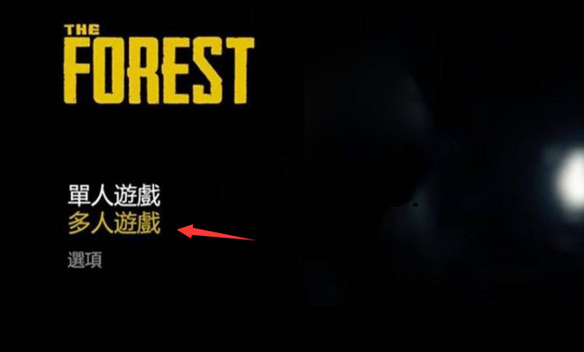 森林最多几个人联机