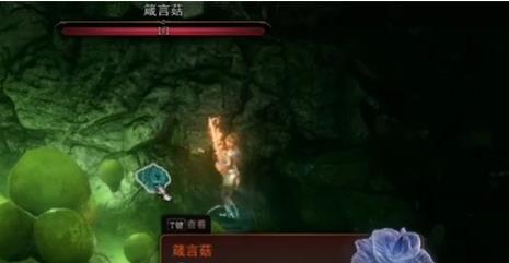 博德之门3箴言菇怎么拿