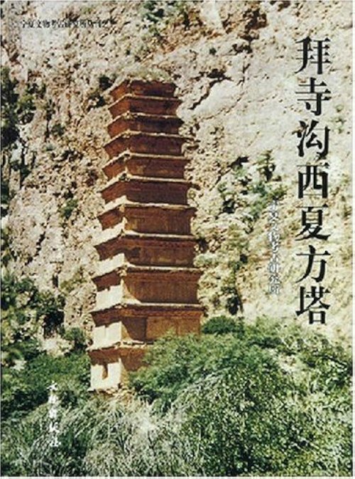 贴吧玩家发现《黑神话：悟空》西夏文细节 大神现身翻译